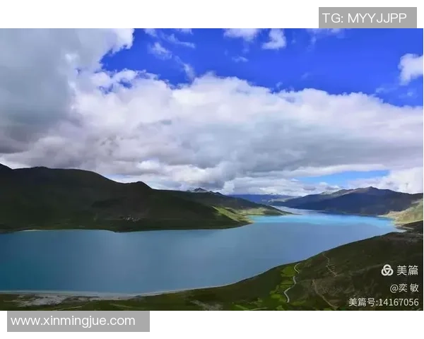 91号足球球衣的传奇故事与背后不为人知的球员心路历程